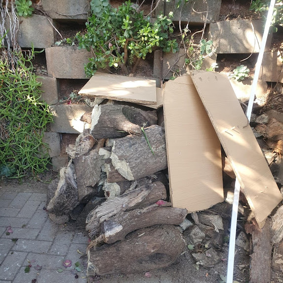 Tree stump removal team in Parow Cape town. Tree felling experts.