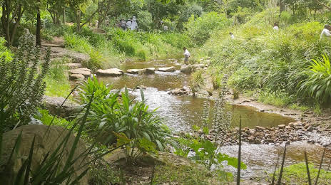 Upper Liesbeek River Garden