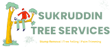 Tree Felling Cape Town | Call 0744721023