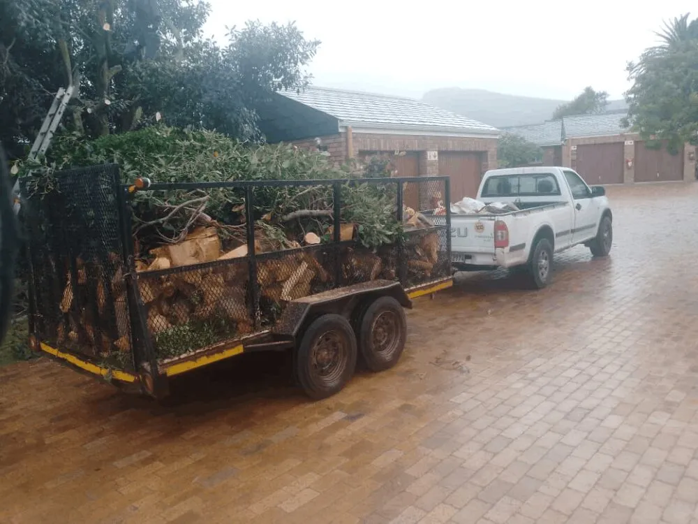 Plot and bush clearing on a Cape Town property